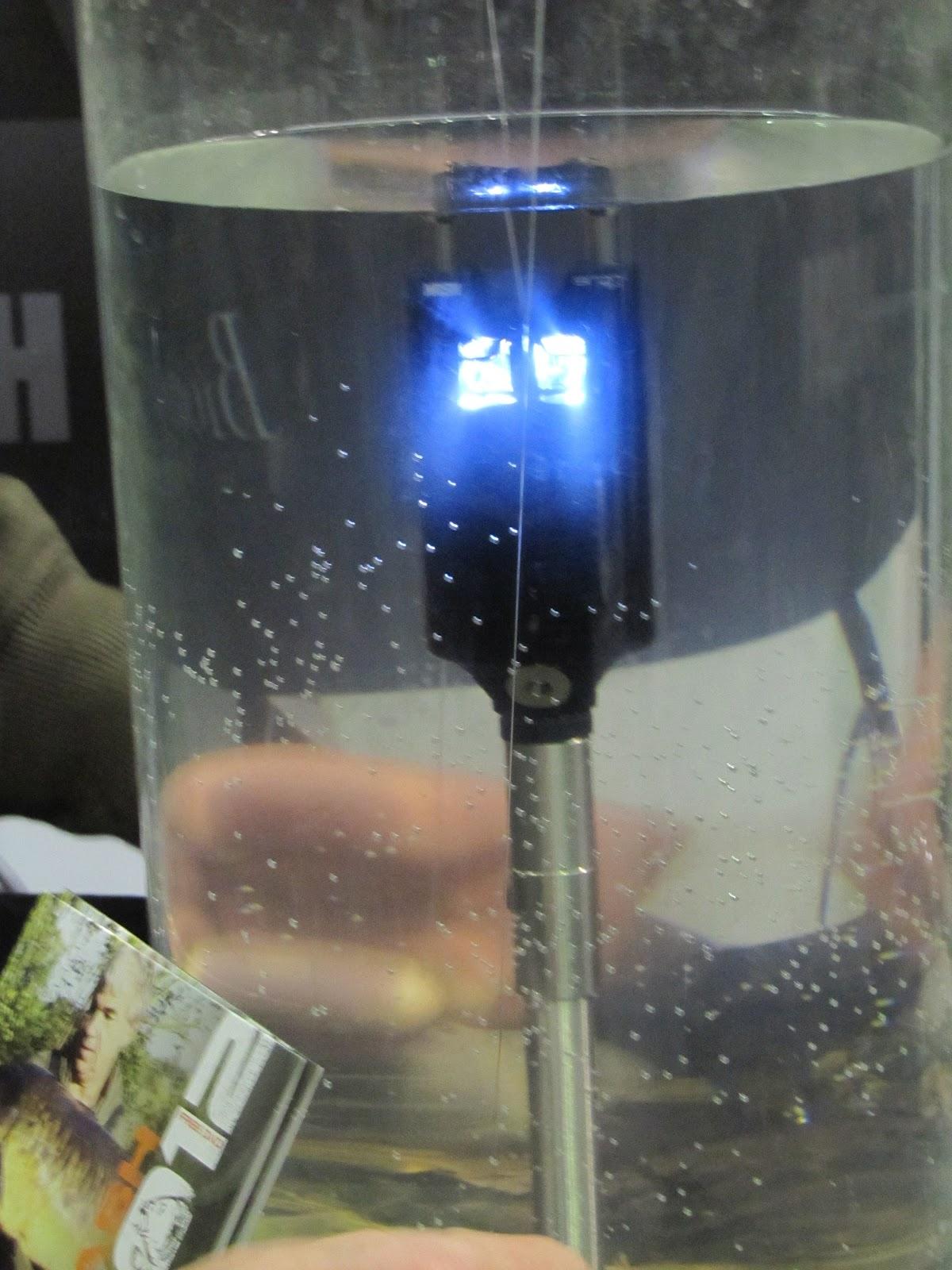 diverse - img6908.jpg